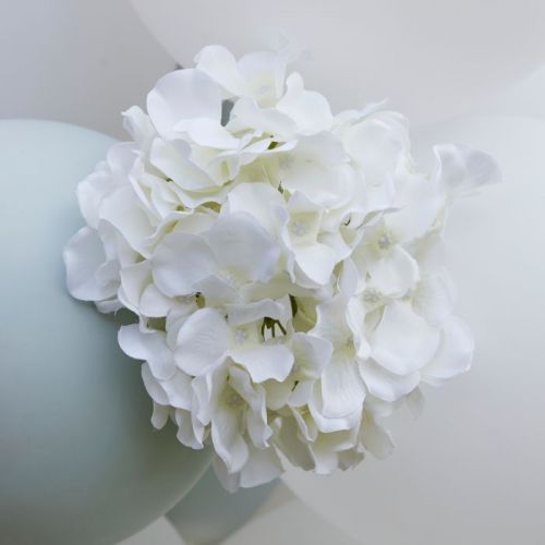 Dekorative Blumen Hortensie weiß Botanical Wedding Ginger Ray