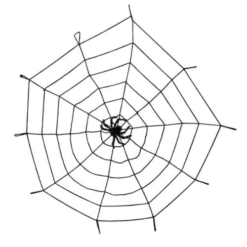 Elastisches Spinnennetz mit Spinne