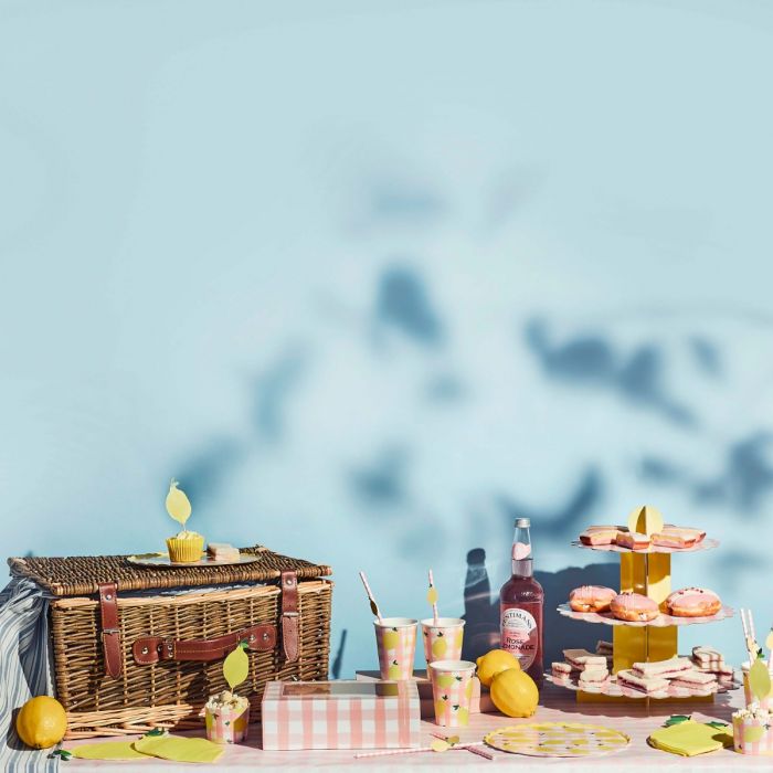 Zitrone & Gingham Becher (8 Stück) Sommer Picknick Hootyballoo