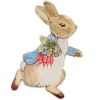 Peter Rabbit Party Teller (12 Stück) Meri Meri