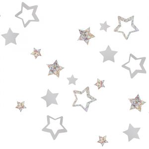 Konfetti-Sterne Silber Silber Glitter Ginger Ray
