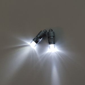 LED-Leuchten mit Öse (5 Stück) House of Gia